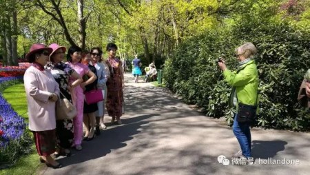 (一網(wǎng)荷蘭微信公眾號圖片) (一網(wǎng)荷蘭微信公眾號圖片)