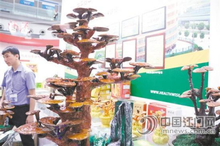 開平健之源保健食品有限公司是國家現(xiàn)代農(nóng)業(yè)示范基地，拳頭產(chǎn)品為有機(jī)鮮靈芝、靈芝蒜顆粒等。