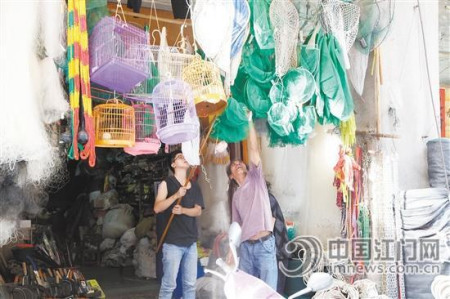 萬(wàn)興西路如今成為漁具、小五金的集散地。