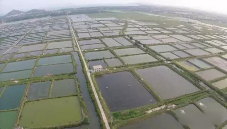 萬寧和樂蟹養(yǎng)殖基地航拍資料圖。