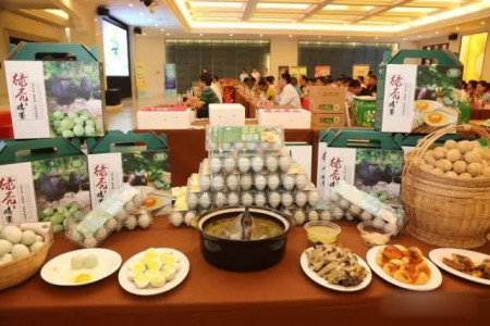 特產(chǎn)綠殼雞蛋。