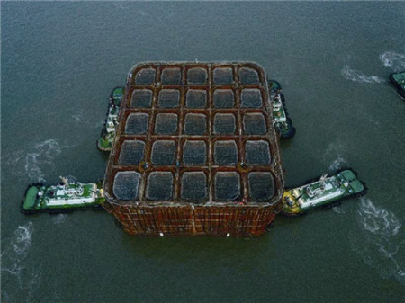 鋼沉井首節(jié)浮運(yùn) 溫州甌江口大橋有限公司供圖