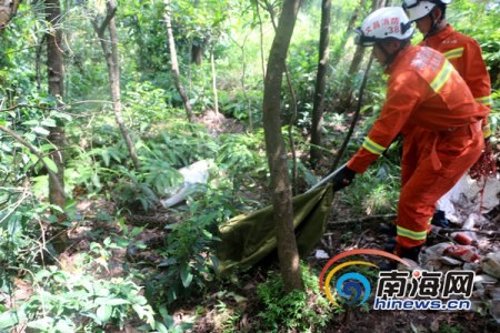 文昌消防官兵將大蟒蛇放歸郊外樹林。通訊員任榮飛攝