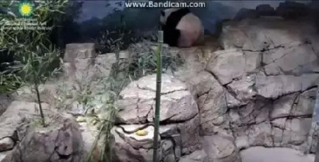 You Tube視頻截圖