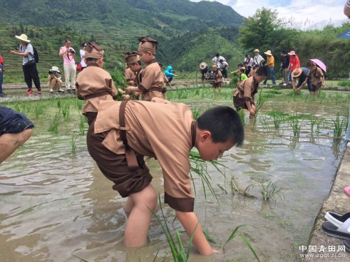 體驗“粒粒皆辛苦”。