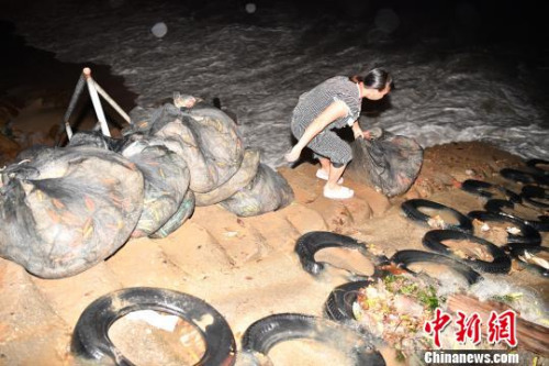 深圳南澳漁民應(yīng)戰(zhàn)臺(tái)風(fēng)“苗柏”來襲 陳文 攝 深圳南澳漁民應(yīng)戰(zhàn)臺(tái)風(fēng)“苗柏”來襲 陳文 攝