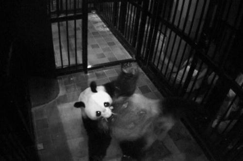 （日本新聞網(wǎng)圖片）