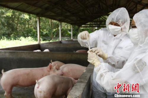 香港回歸20年，廣東堅持保障供港食品農(nóng)產(chǎn)品安全優(yōu)質(zhì)順暢供應(yīng)。資料圖