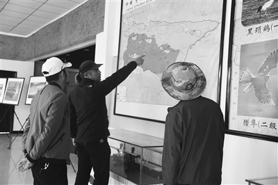 楊剛在索南達(dá)杰保護(hù)站的動(dòng)植物展廳給游客講解可可西里的相關(guān)情況。