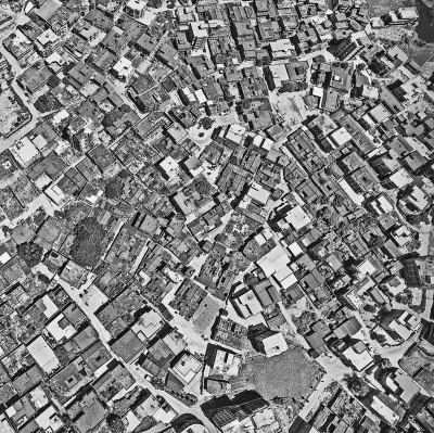 梧林全景 梧林全景