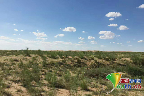 如今的阿拉善盟騰格里沙漠東緣換上了綠裝。受訪者供圖