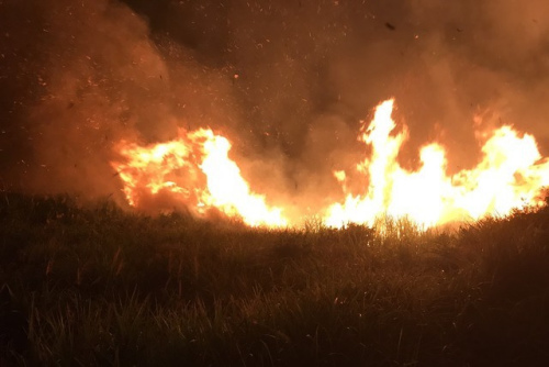 陳大媽放火求救，結(jié)果釀成山林大火