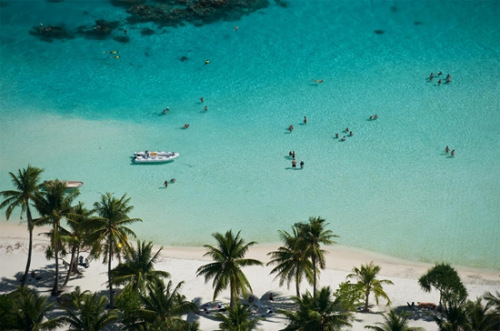 大溪地。HHtravel鴻鵠逸游供圖