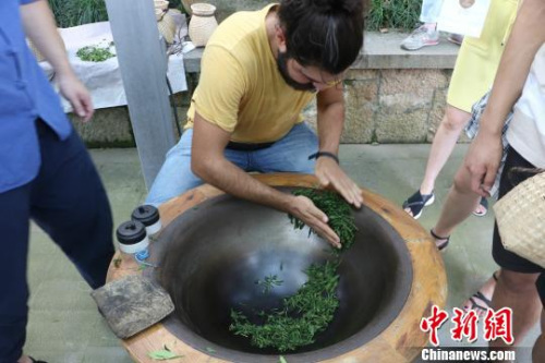 圖為：德國漢諾威孔子學(xué)院學(xué)生體驗炒茶?！⊥鯙t婧 攝