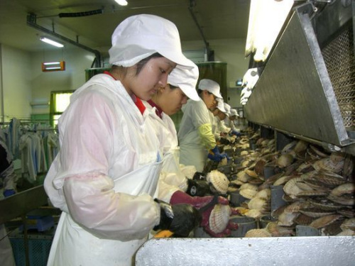 在日中國研修生多從事技術(shù)含量低的勞動(dòng)密集型產(chǎn)業(yè)(圖片來源于網(wǎng)絡(luò))