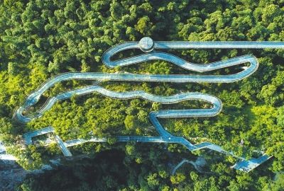 城市森林步道，金牛山福道。林熙 攝