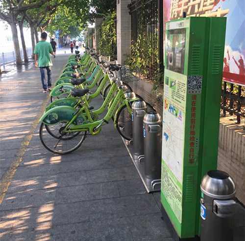 共享單車。(圖片均由作者提供)