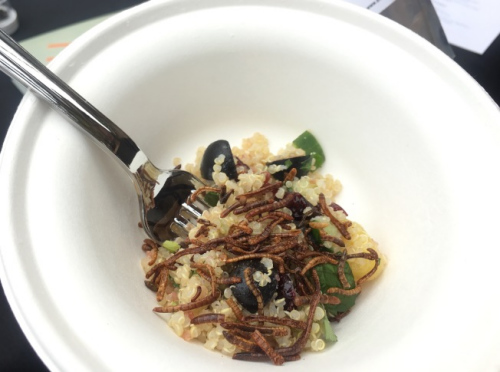 民眾“Brooklyn Bugs”品嘗昆蟲制成的各種食物。（美國《世界日報》/李碩 攝）