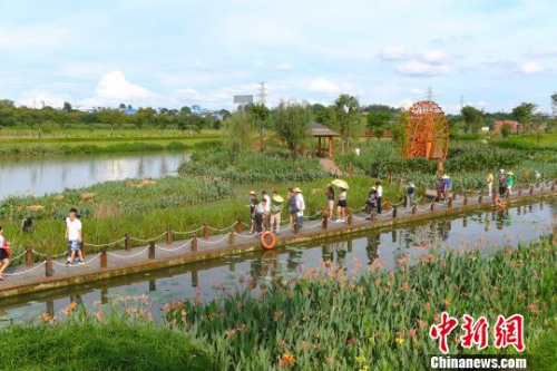 海外華文媒體代表走進(jìn)那考河濕地公園。　俞靖 攝