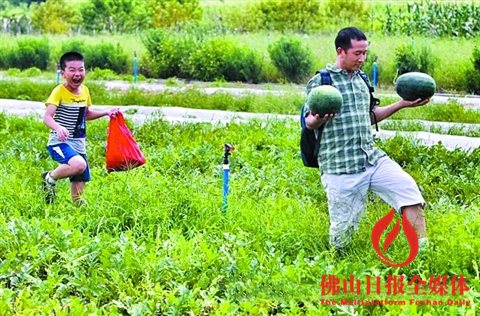 勁農(nóng)現(xiàn)代都市農(nóng)業(yè)園中，市民體驗生態(tài)旅游農(nóng)業(yè)。