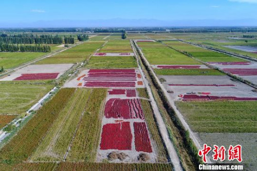 進(jìn)入秋季，博湖豐收田野色調(diào)溫和的豐收畫(huà)卷，可謂美不勝收?！∧昀?攝