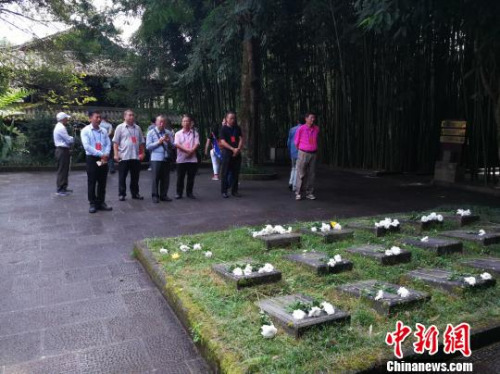 圖為海外僑胞代表團(tuán)參觀騰沖國(guó)殤墓園 劉云燕 攝