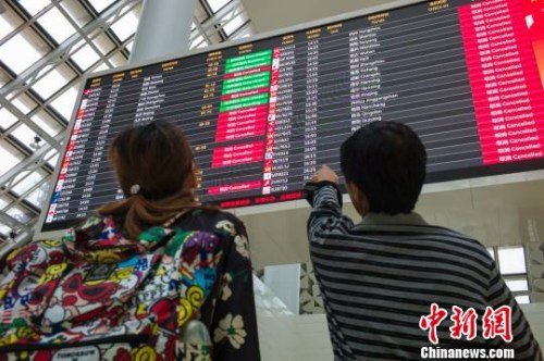 圖為兩位旅客在海口美蘭國際機(jī)場查看航班信息，電子顯示屏上大部分航班已經(jīng)被取消?！●樤骑w 攝