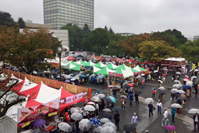 活動(dòng)現(xiàn)場。