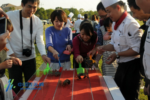游客互動開始螃蟹賽跑