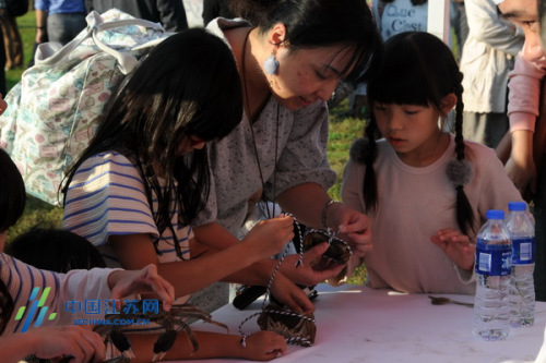 日本游客體驗(yàn)扎螃蟹