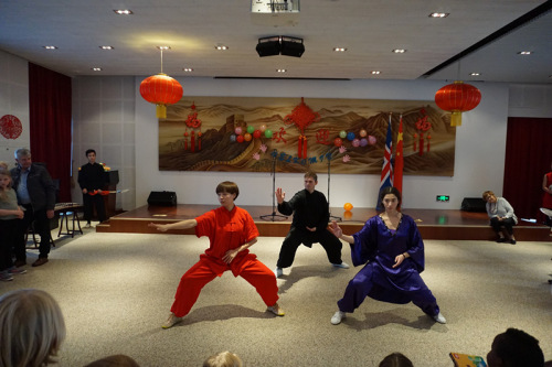 中國功夫表演。