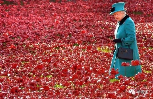 （華聞派微信公眾號圖片）