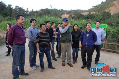 服務(wù)團(tuán)在黔西南州望謨縣熱作產(chǎn)業(yè)良種繁育科技示范園調(diào)研?！∪轿木辍z