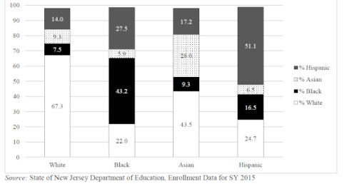 各族裔學(xué)生聚集情形。左至右為白仁、非洲裔、亞裔、西語裔。白色為白人、黑色為非洲裔、黑點(diǎn)為亞裔、灰色為西語裔。（圖片均取自報(bào)告）
