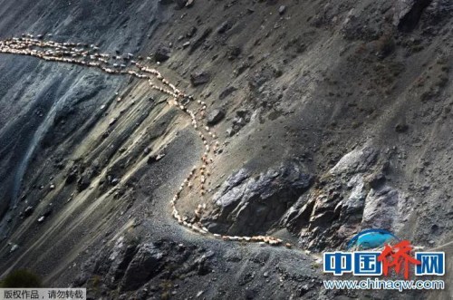“相機(jī)攝”《牧歸》：新疆天山深處，牧民途經(jīng)在陡峭的崖壁上。
