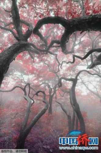 “相機(jī)攝”《蹉跎》：江西宜春。