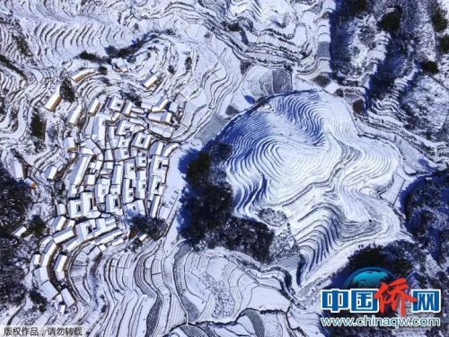 “相機(jī)攝”浙江松陽。