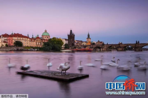 “相機(jī)攝”捷克布拉格伏爾塔瓦河畔。