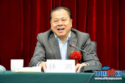 圖為寧德市委常委、統(tǒng)戰(zhàn)部部長林鴻致辭。葉茂 攝