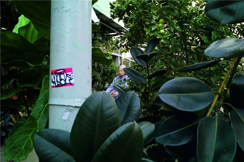 在二戰(zhàn)前后，唐人街上的男女比例曾高達100: 1，是典型的光棍聚集地，隨著《戰(zhàn)時新娘法案》的推行，女性才逐漸多了起來。這位老太太，不知在唐人街有著怎樣的過去。