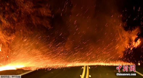 大火發(fā)生地圣保拉市有800多所住房的居民被強制疏散，疏散地位于文圖拉市的一所高中。圖為山火越過公路持續(xù)蔓延。