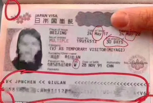 兩張圖上圖為真，下圖為假