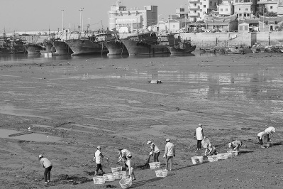 蔡加漸給沉重的廢棄輪胎系上繩索，準(zhǔn)備用吊車拖上岸。