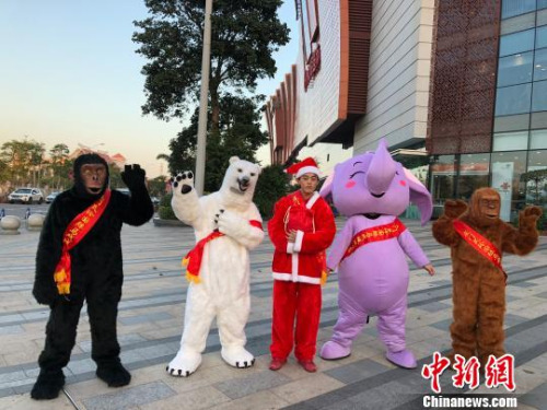 廈門靈玲國際馬戲城，打造原汁原味的圣誕節(jié)歡樂氛圍。　林來生 攝