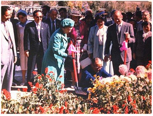 女王在昆明大觀公園內(nèi)種玫瑰。