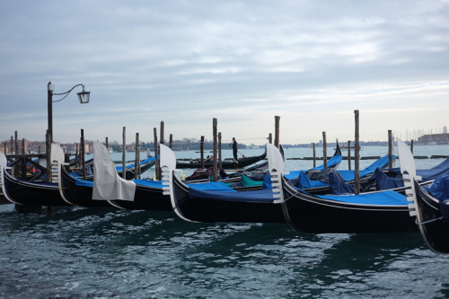 威尼斯岸邊?？康呢暥嗬?。 （《歐洲時(shí)報(bào)》意大利版/特約記者 劉欣攝）