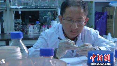 中科院合肥物質研究院的科學家正在潛心工作?！O策 攝