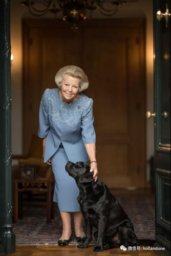 “一網(wǎng)荷蘭”微信公眾號