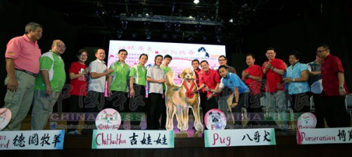 “福旺齊天，萬(wàn)狗騰春”大型現(xiàn)場(chǎng)繪萬(wàn)狗圖揮毫啟動(dòng)儀式。