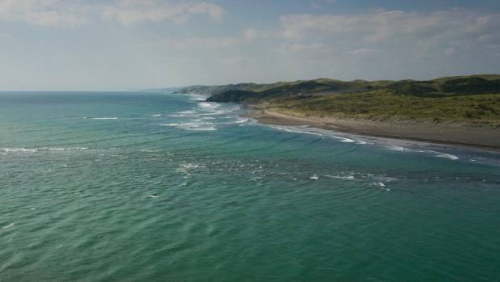 Tao女士和朋友們游泳的海灘。